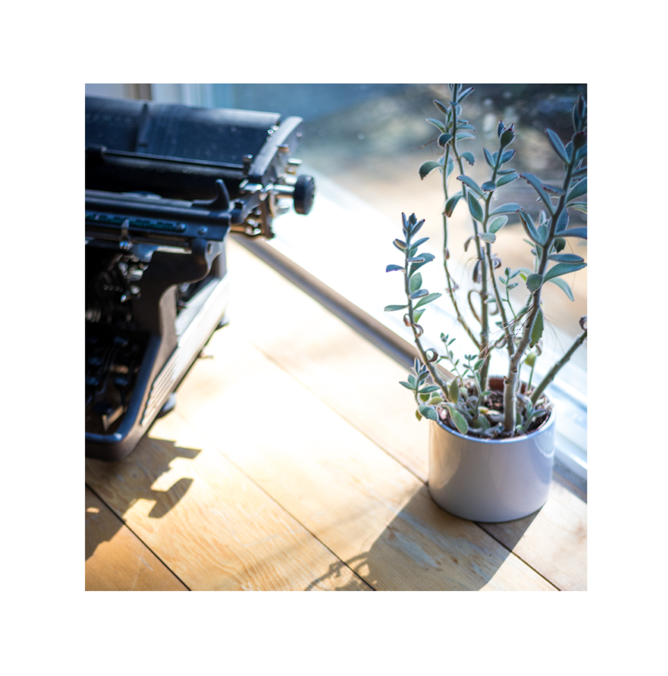 Manuscript typing case studies